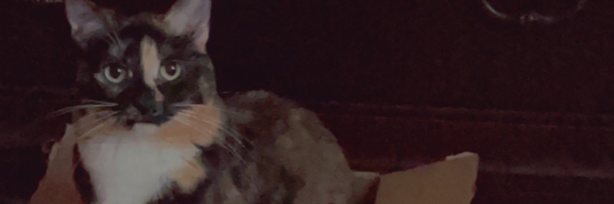 crybchell's profile banner image