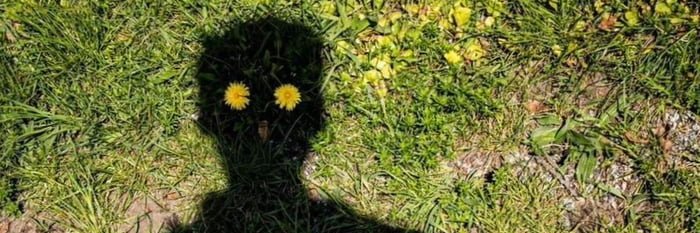 onderalkan's profile banner image