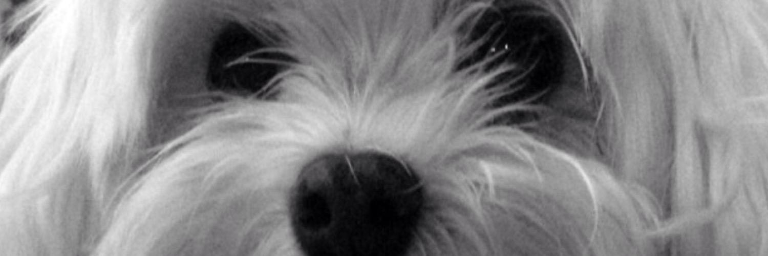randomaims's profile banner image