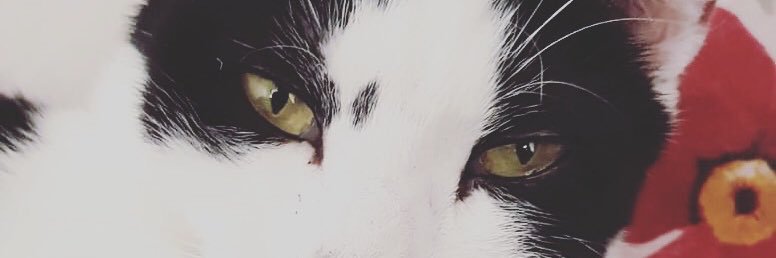 SuchaGoldstein's profile banner image