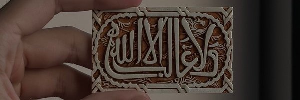 zx_qlp Profile Banner