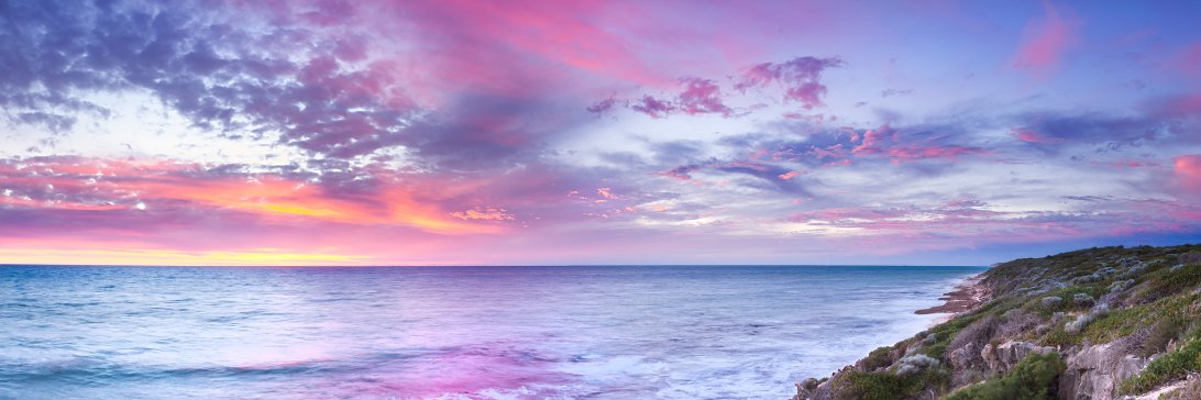 Janet banner