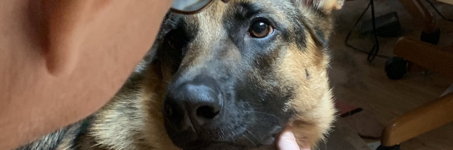 fbicking's profile banner image