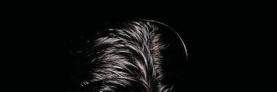 rikiriz's profile banner image