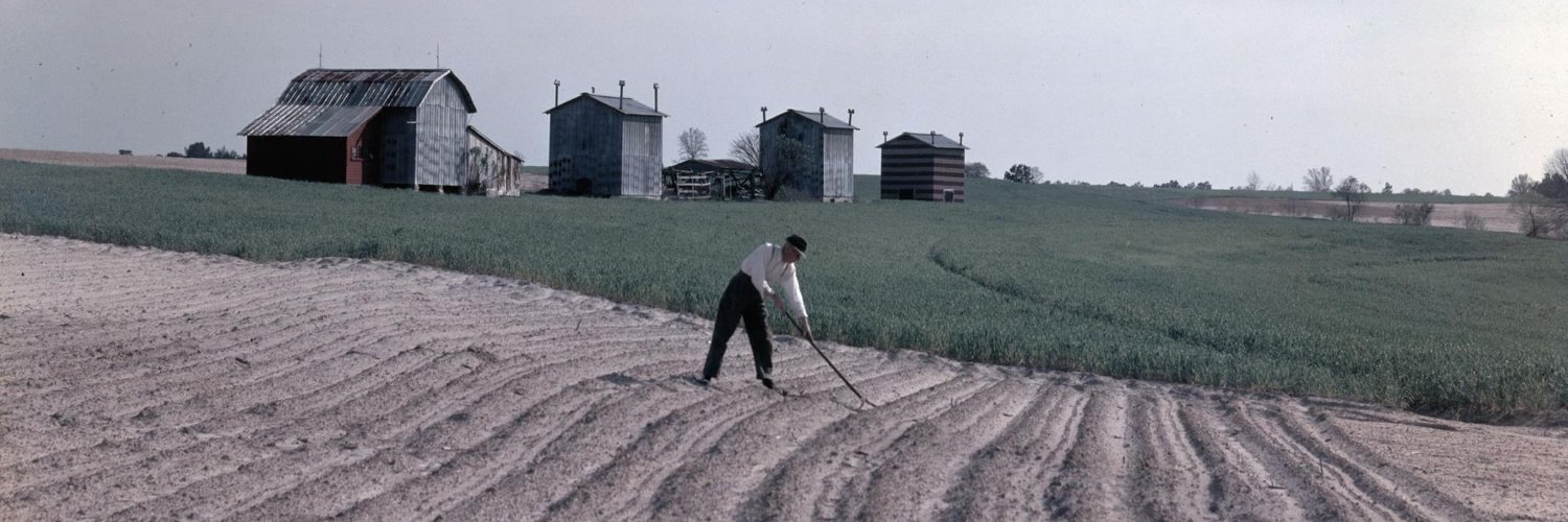 NC Collection, UNC banner