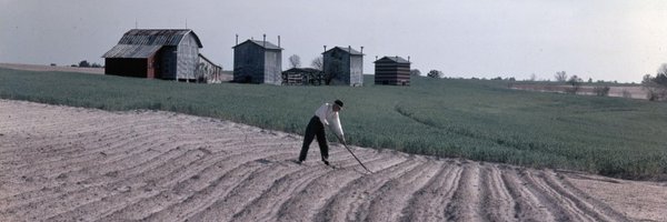 NCCollection Profile Banner