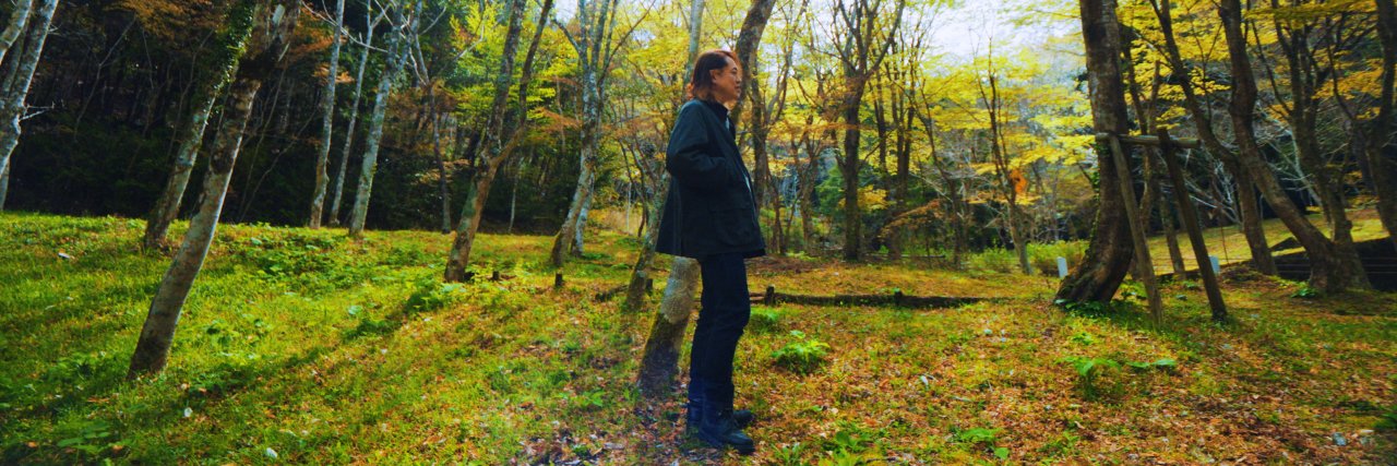fujikaxa's profile banner image