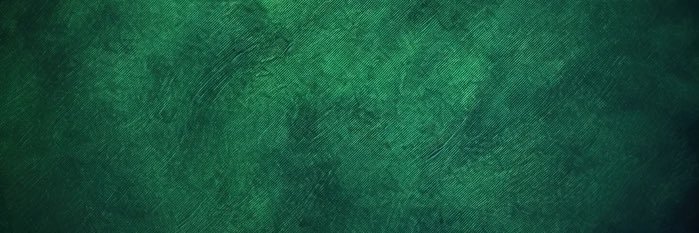 Movimiento Verde Chile banner