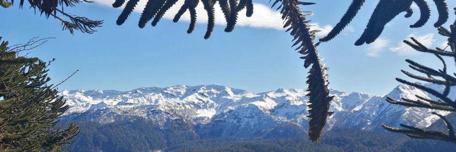 vanesand77's profile banner image