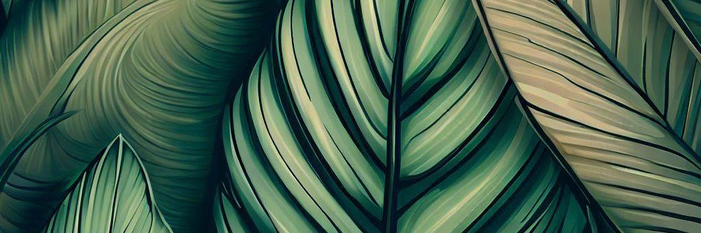 jimc17's profile banner image