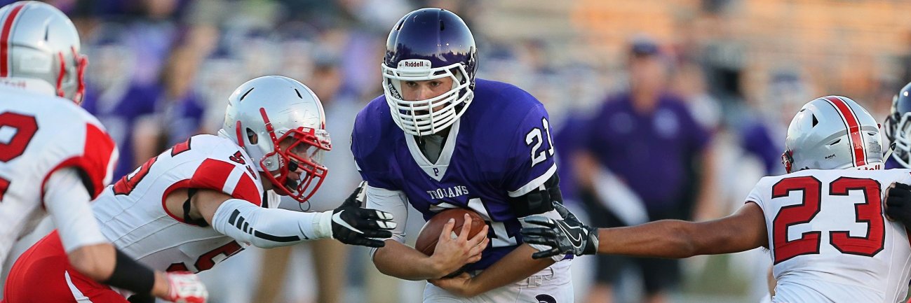 Press Democrat banner