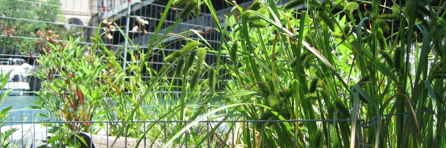 Friends of the Chicago River banner