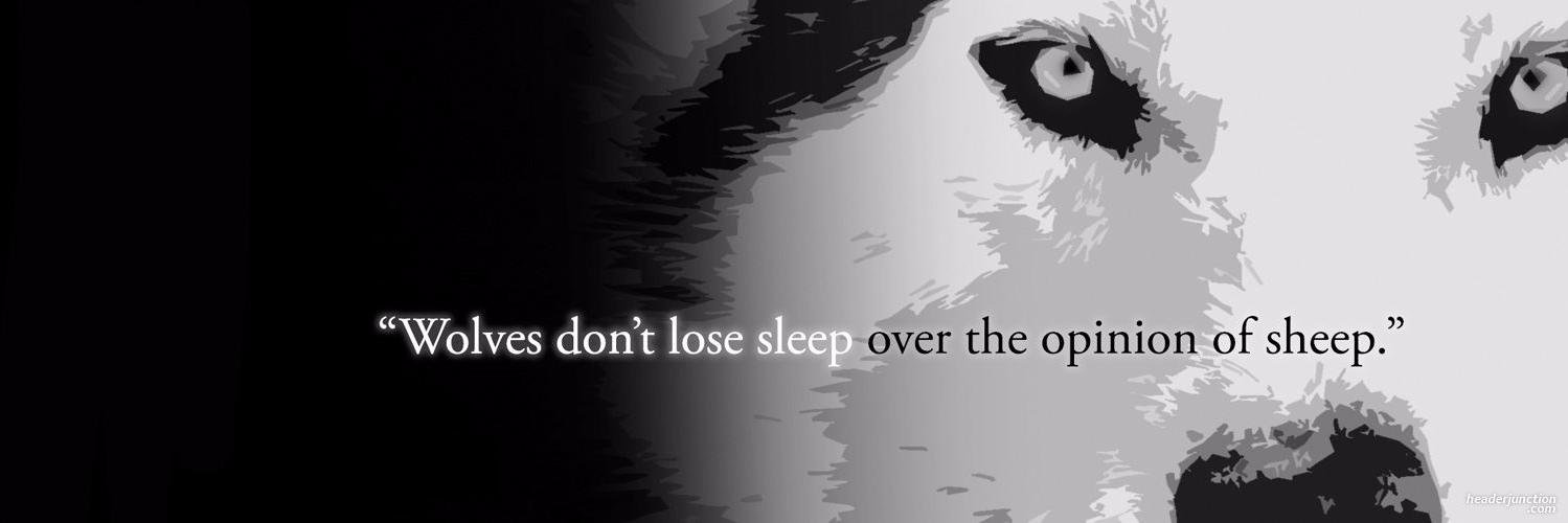 vicci0606's profile banner image