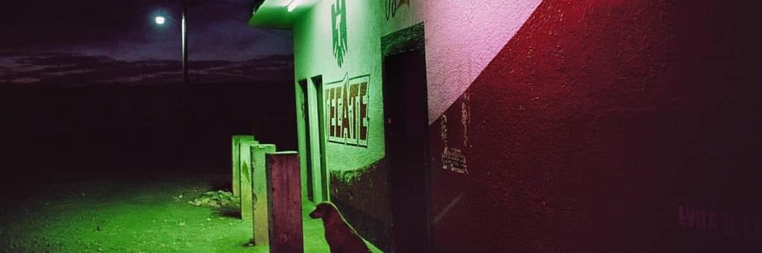 _tequilapapi's profile banner image