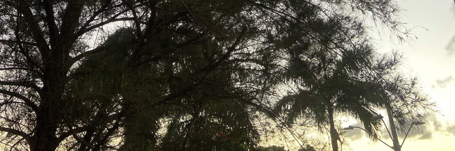 danylodavid's profile banner image