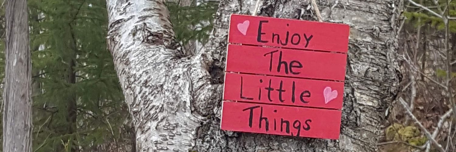 JillJigg's profile banner image