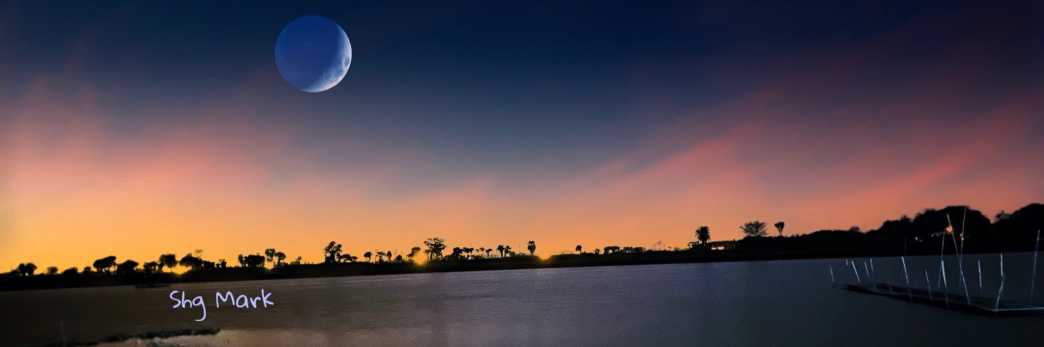 Twitter banner for @shohag248