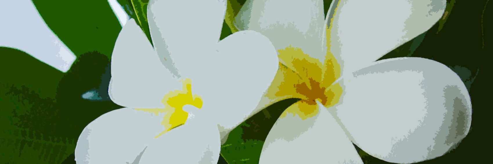 GregJohnsontwit's profile banner image