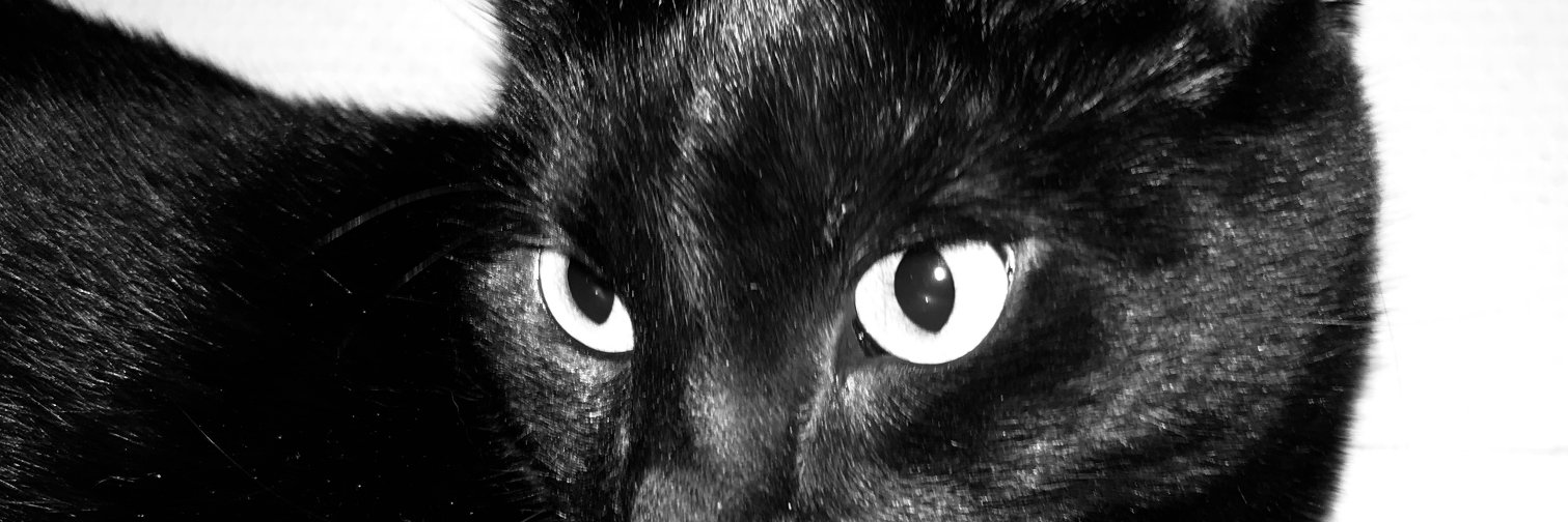 TheNanon's profile banner image