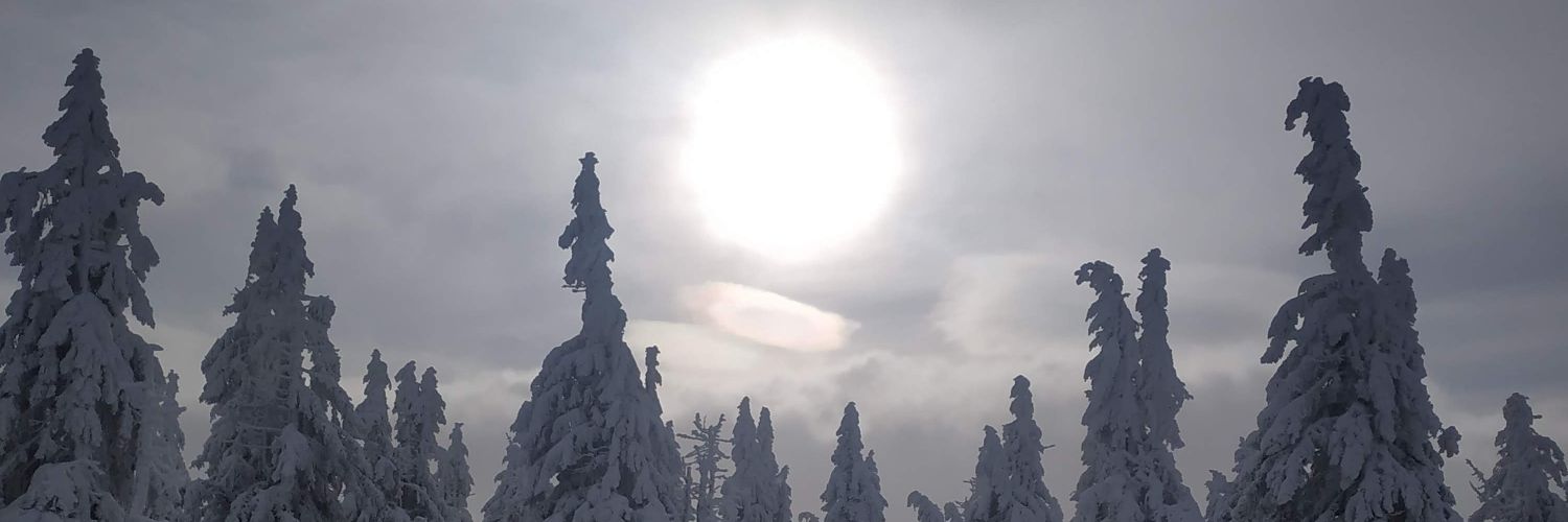 karolinahausne's profile banner image