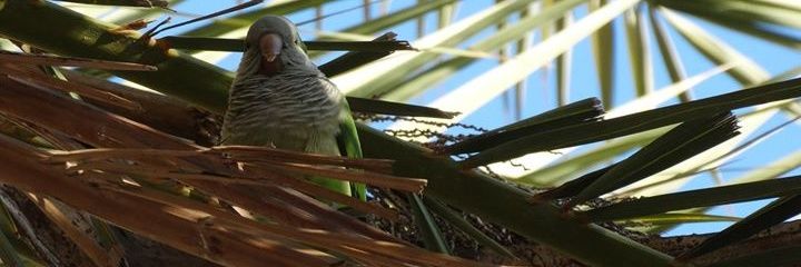 caryscunn's profile banner image