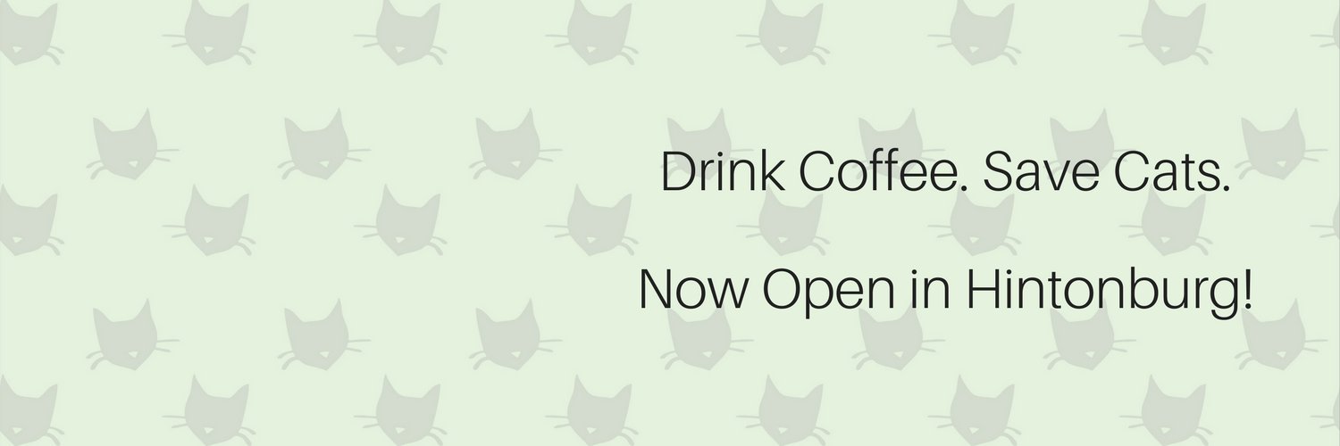 Feline Cafe banner