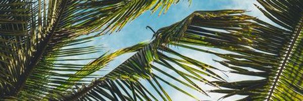 brenhood Profile Banner