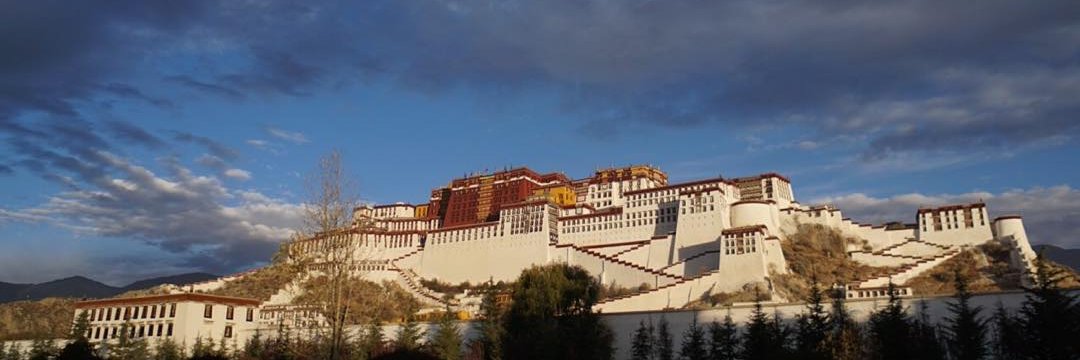 hoangmaipol's profile banner image