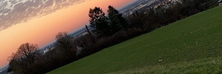 NPH5431's profile banner image