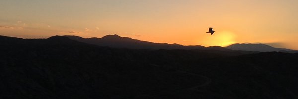 PoppyPancho Profile Banner