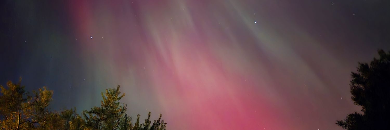 Michigan for Trump banner