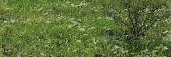 850Snn Profile Banner