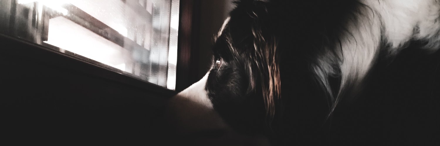tinchykaaa's profile banner image