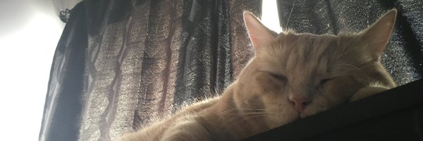 ThePhilosopurr Profile Banner