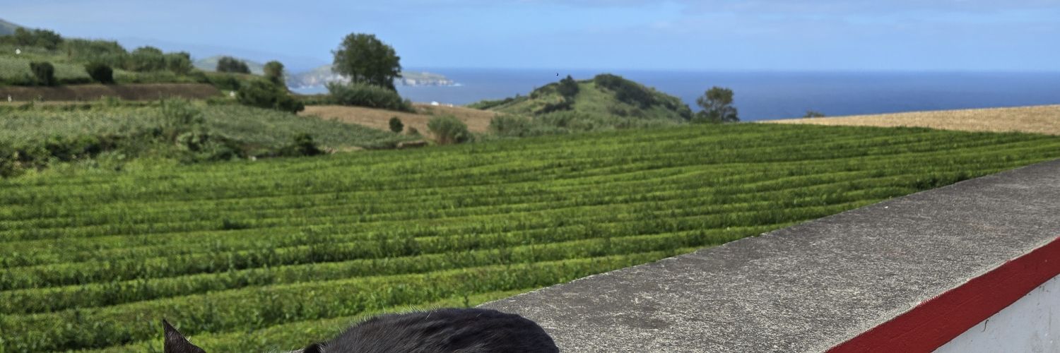 gpjt's profile banner image