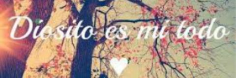 Velkis11's profile banner image