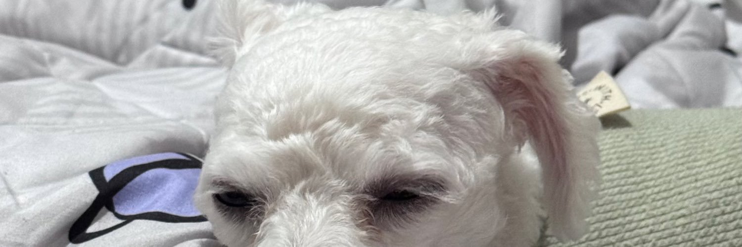 Aditya “Mozia” Kusuma Putra banner