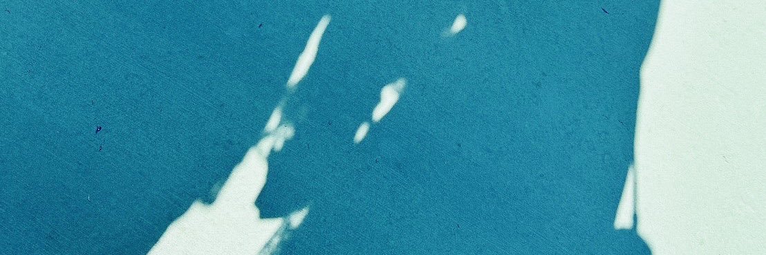 bcbg_y's profile banner image