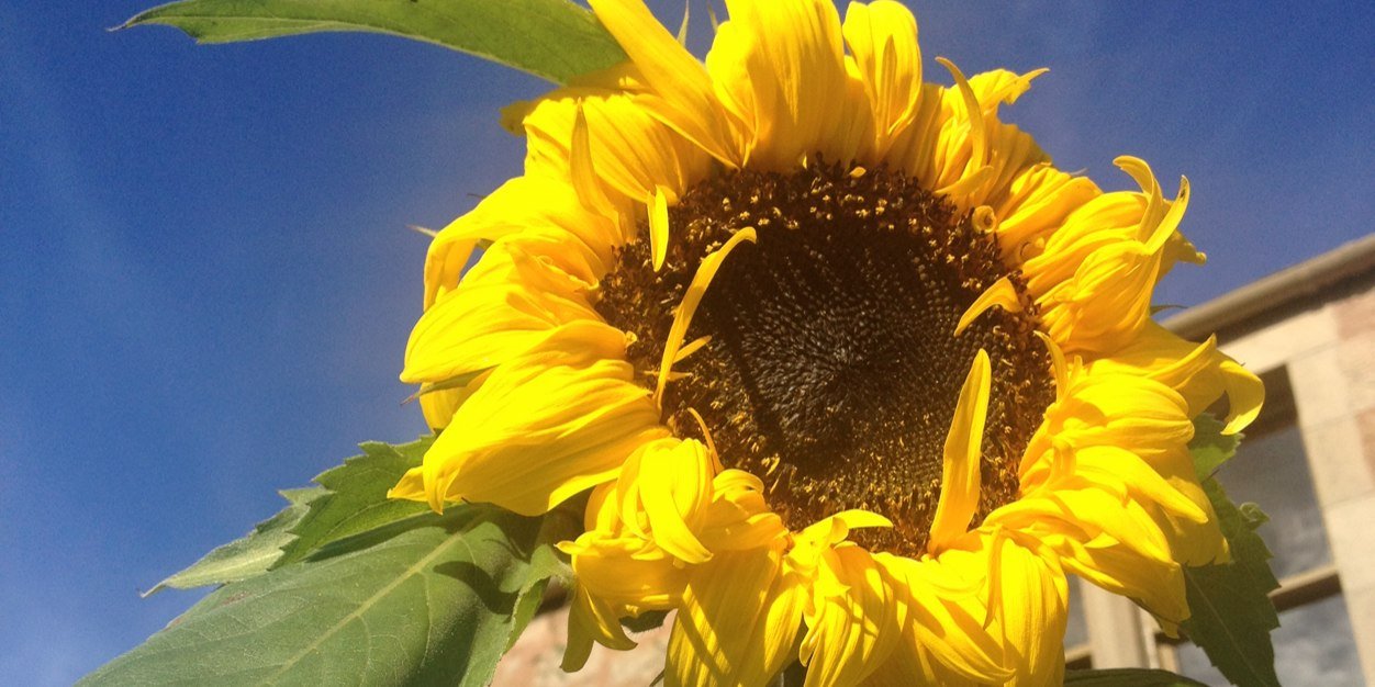 jacquibennett's profile banner image