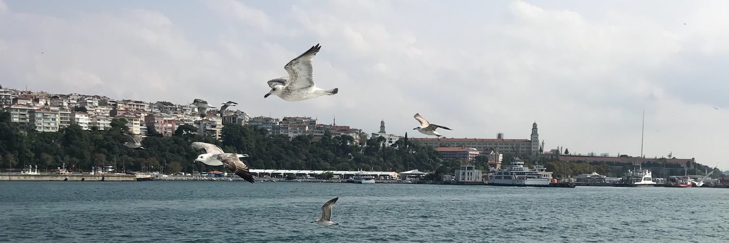 hclkgl's profile banner image