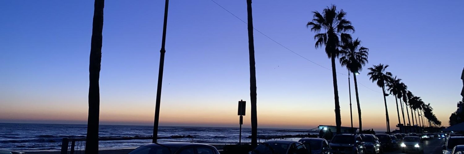 Enrico Paolozzi banner