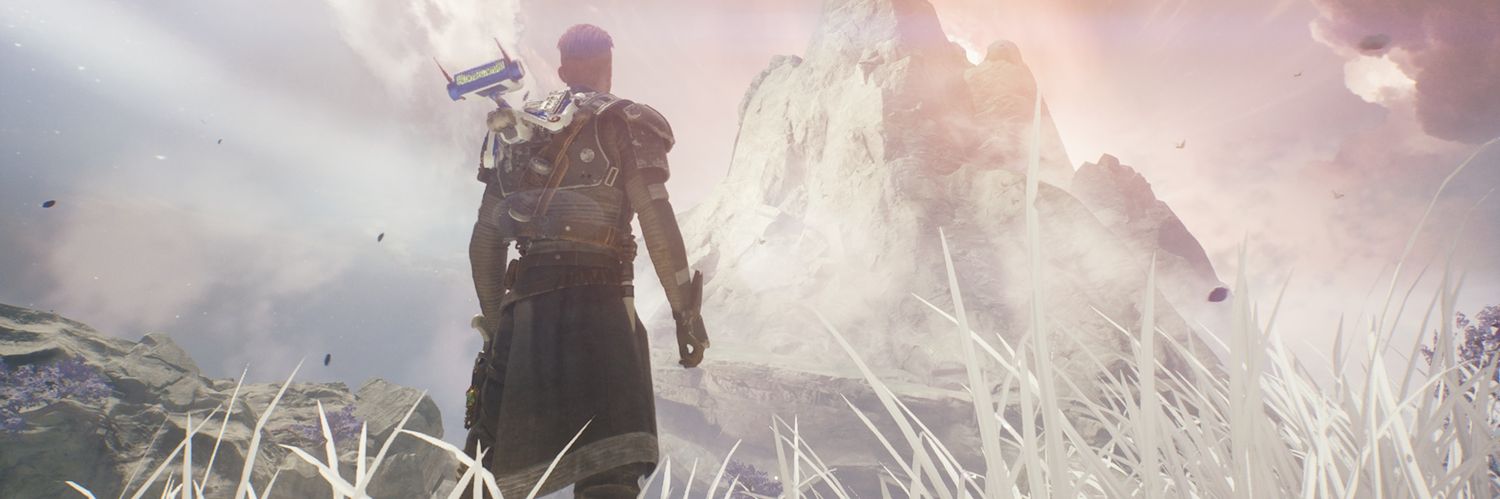 Delta banner