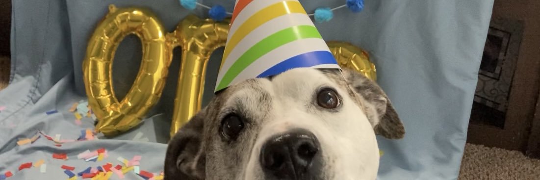 HJAnderson29's profile banner image