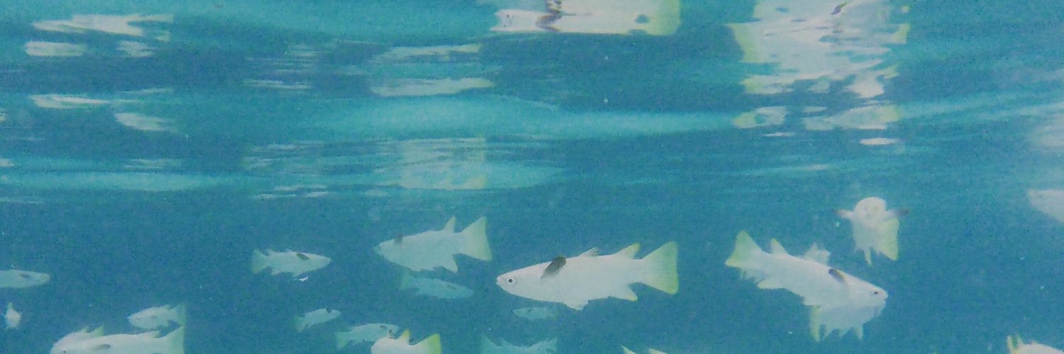 HeatherPerci's profile banner image