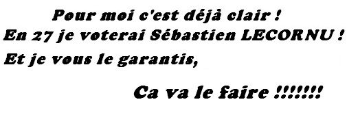 ↕   Once Rebifera banner