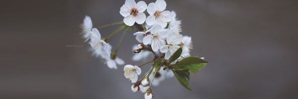 Leah_Ly97's profile banner image
