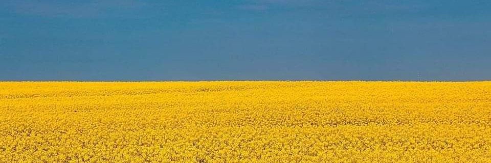 LuCacciapuoti's profile banner image