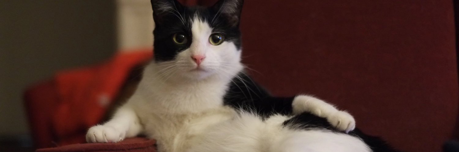 oranged איתן - חי banner