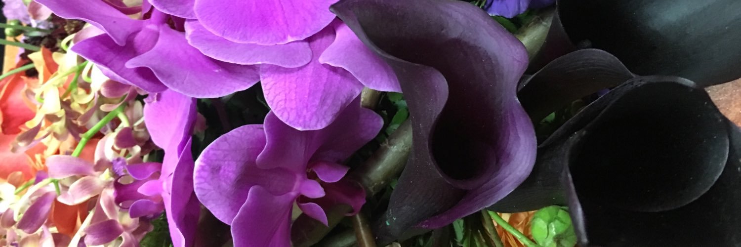 verormM's profile banner image