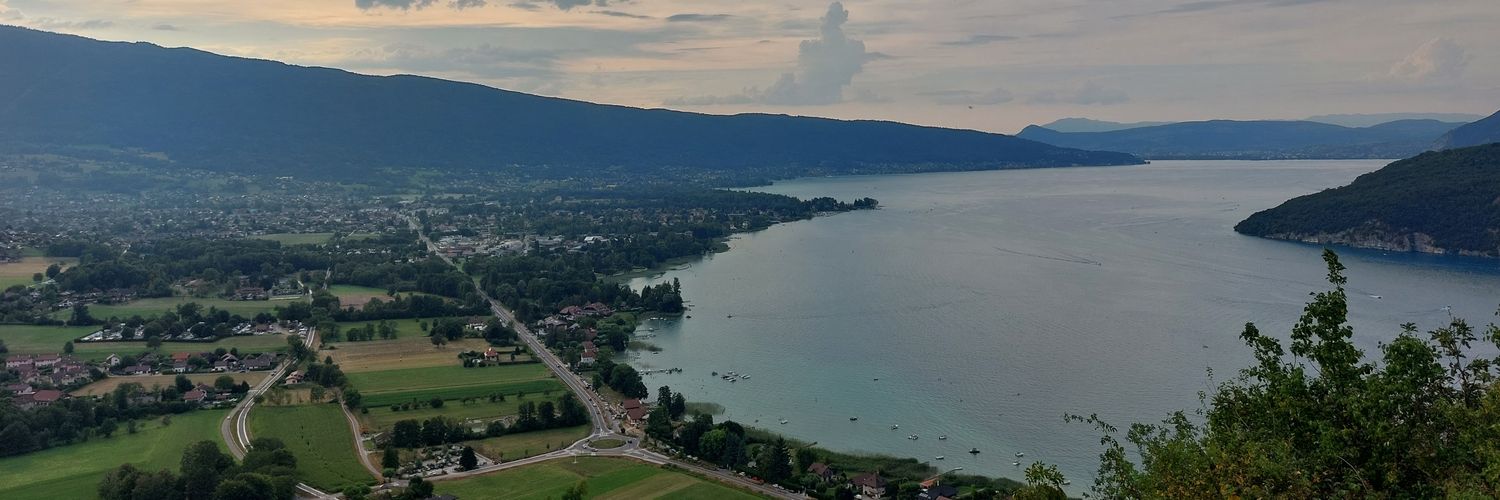 Soso Europa Tour banner